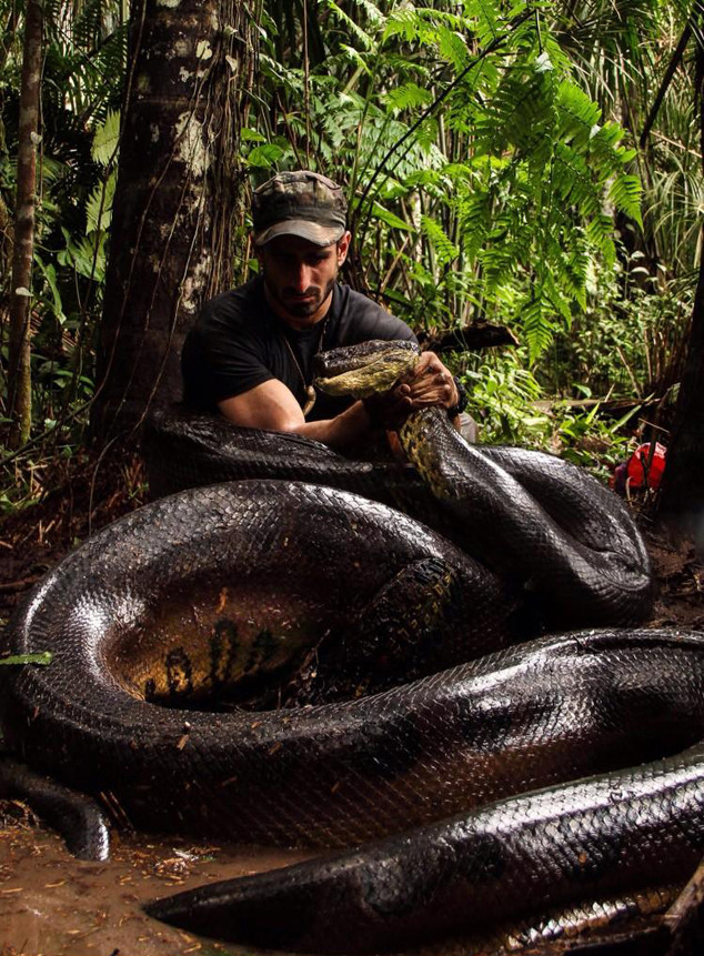 This Explorer Fed Himself To An Anaconda While Wearing A Snake